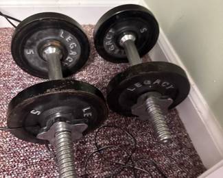 Legacy Dumbells