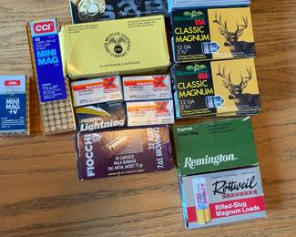 Ammunition