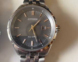 Citizen Men's Eco-Drive Steel Silver gray dial watch