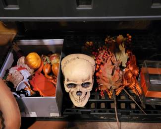 Halloween Decorations