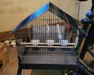 Bird Cage