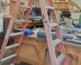 Ladder. Heavy duty for sure. $75