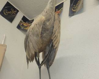 Crane $50