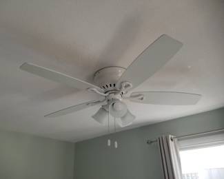 Lighted ceiling fan