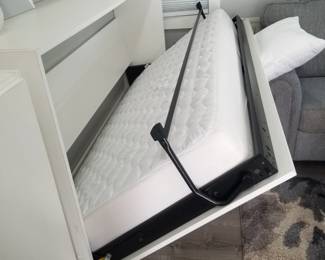 Contemporary cupboard is a twin bed - folds out!