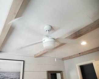Lighted ceiling fan