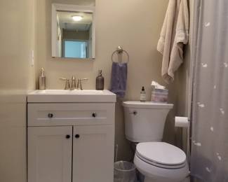 Petite bath vanity; mirrored medicine cabinet