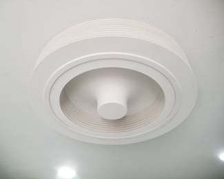 Fabulous light fixture with interior fan