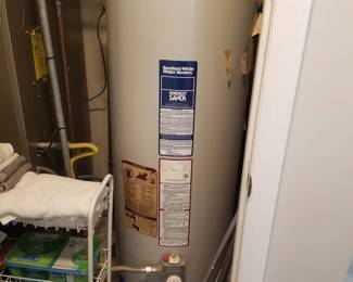 Bradford White 50 gallon GAS hot water heater