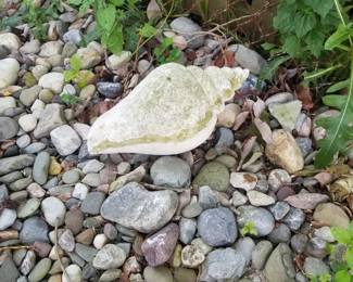 Concrete shell