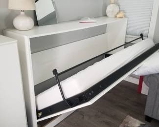 Contemporary cupboard is a twin bed - folds out!