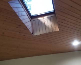 Skylight