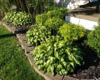 Concrete border stones; plants