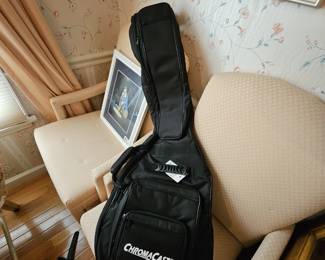 Guitar bag