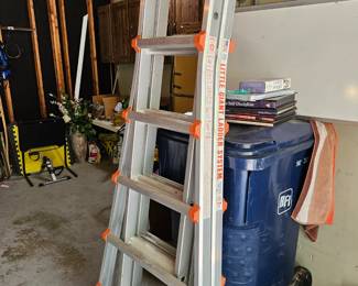 Little giant ladder system