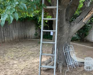 extension ladder