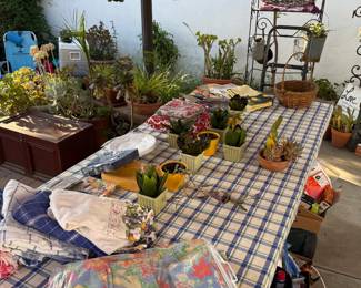 Yard decor and more plants!
(Gazebo and table are not for sale)