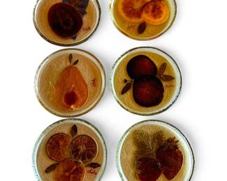 6 Resin Coasters w/ Dried Fruit