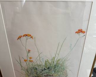 Framed Art