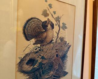Framed Art
