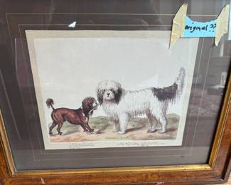 Framed Art