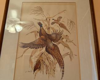 Framed Art