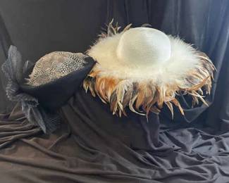 Hats With Feathers Flock Together