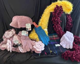 Scarves, Gloves A Beret