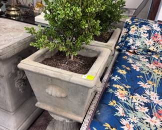Pair Concrete Planters