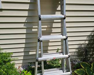 Foldable Expandable Ladder