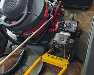 Mclane Lawn Edger