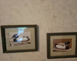 Duck Wall artwork