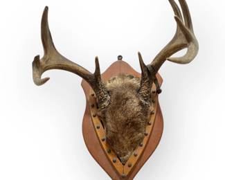 Deer Antler Mount