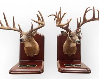 Deer Mount Bookends