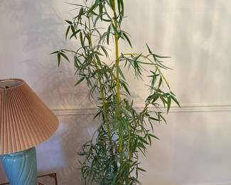 Potted Bamboo