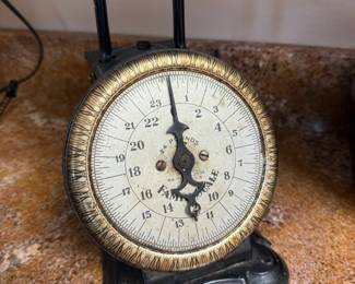Antique 24 Pound Farm Scale Kitchen Scale