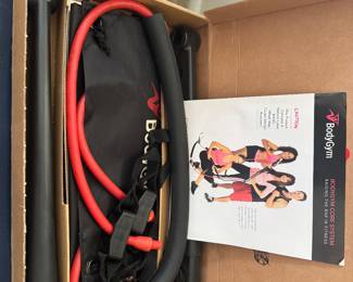 Body gym core system