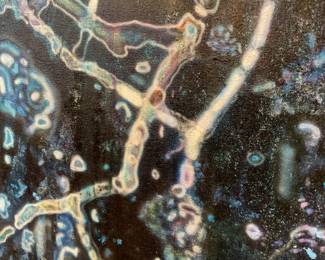 Abstract oil on canvas 53β x 25.5β $300 + tax