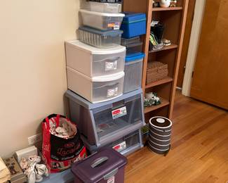 Storage bins and bookcase