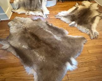 020 3 Alaskan Reindeer,Caribou Rugs