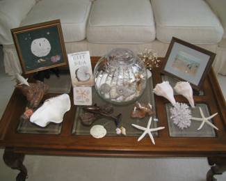 Shells and more