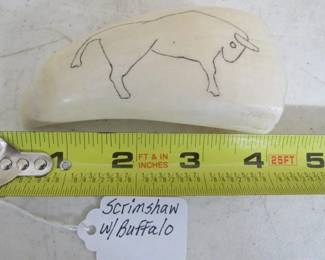 Scrimshaw w/Buffalo