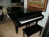 GEORGE STECK PLAYER PIANO
SOLD