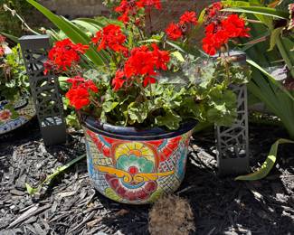 Planter 