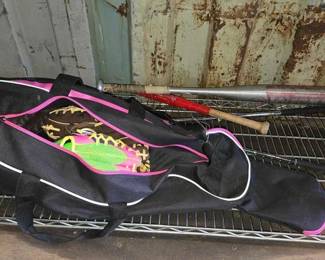 3522 Softball Bag, Gloves More