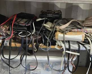 4024  Collection of Purses 