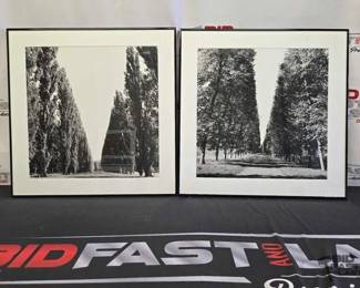 2738  2 Becky Cohen The Gardens of Le Notre. 