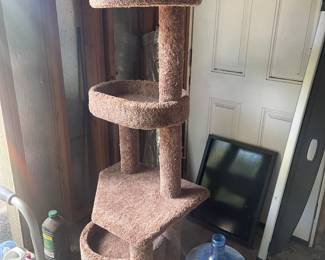 Cat scratch post