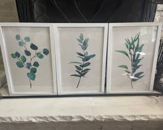 Set of three decorative botanicals