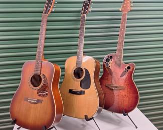 More used acoustics: Norman, Fender, Ovation